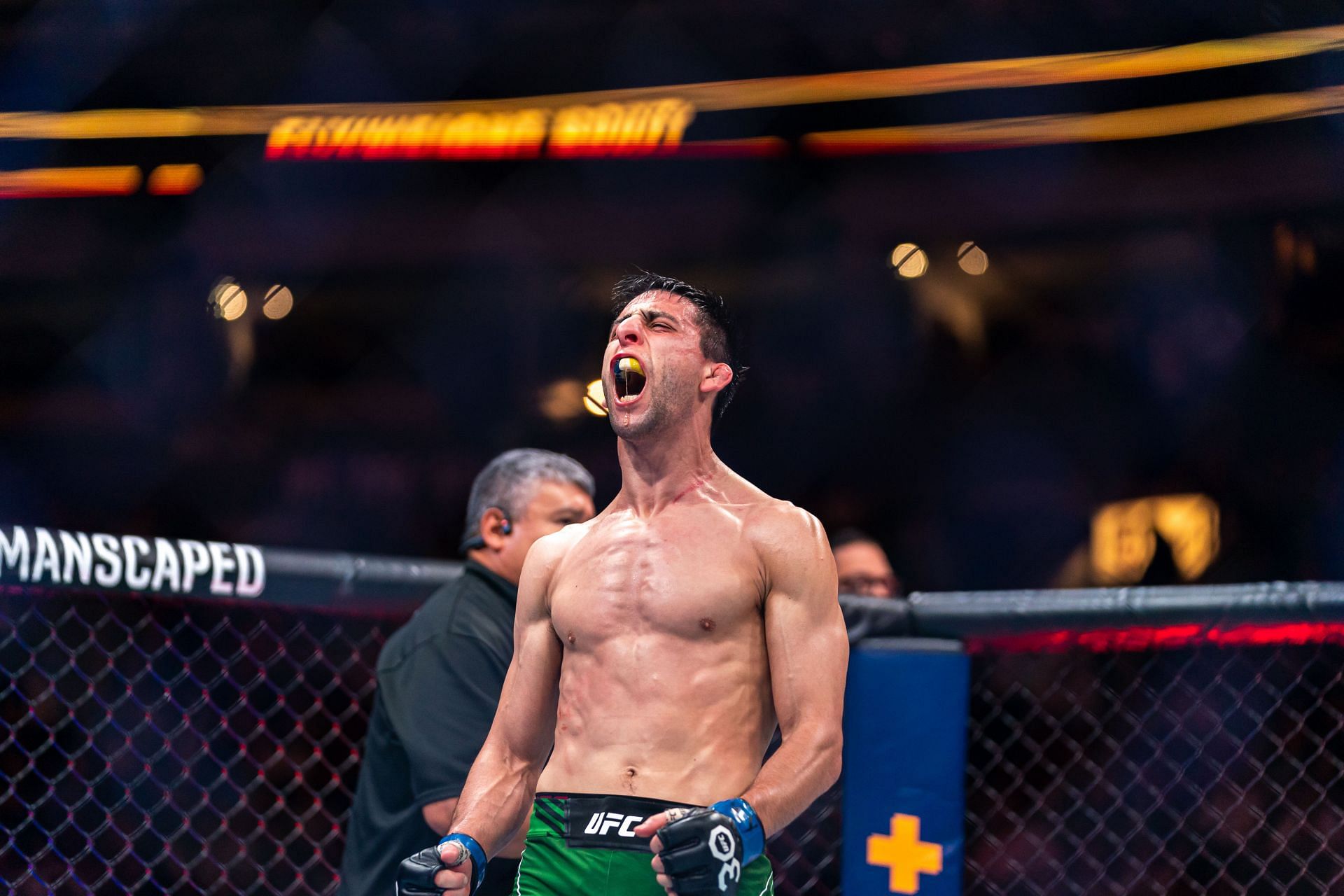 Stephen Erceg won big in his octagon debut