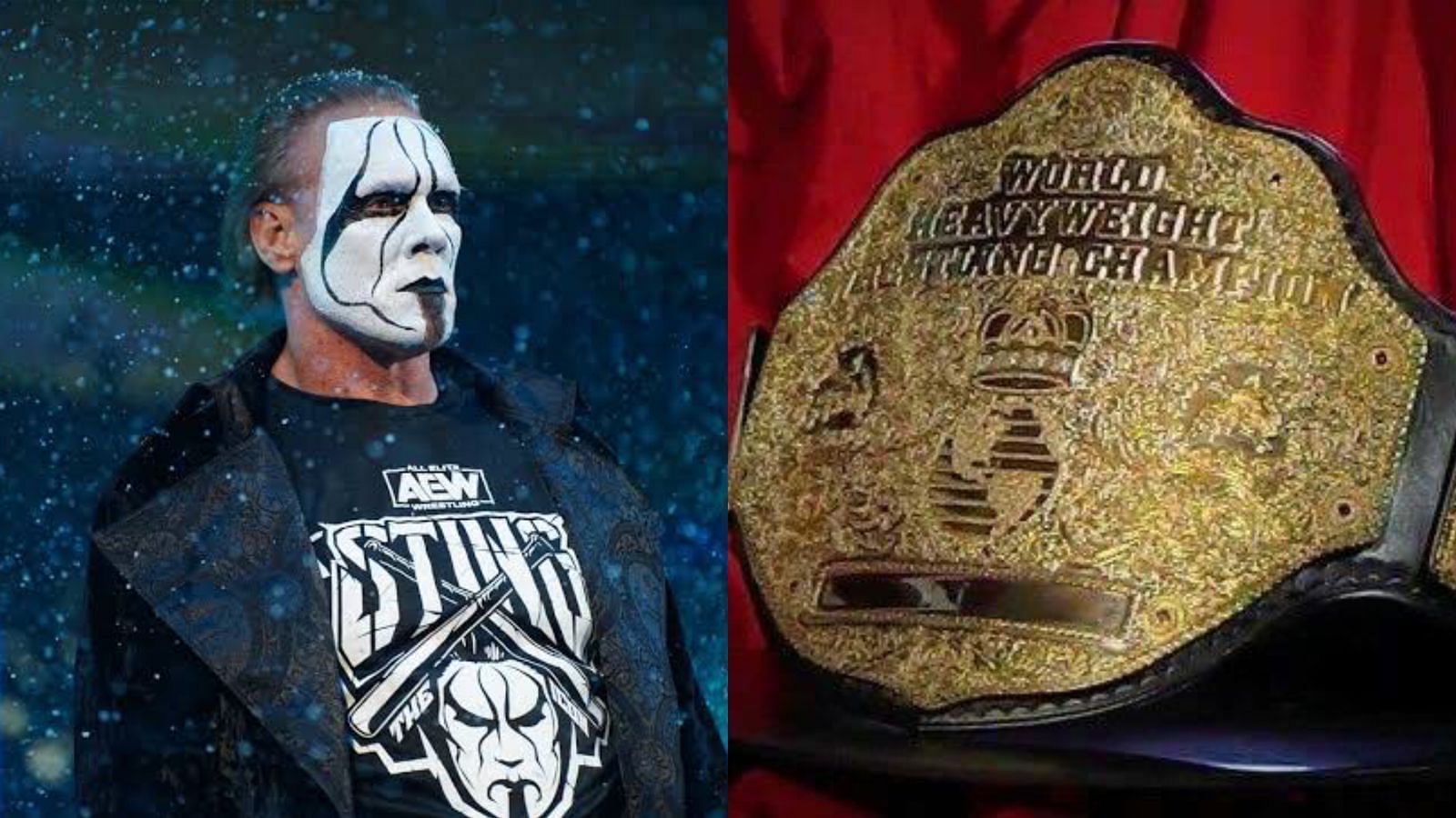 Sting is a former WCW World Heavyweight Champion
