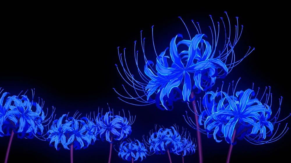 Blue Spider Lily (Image via Pinterest)