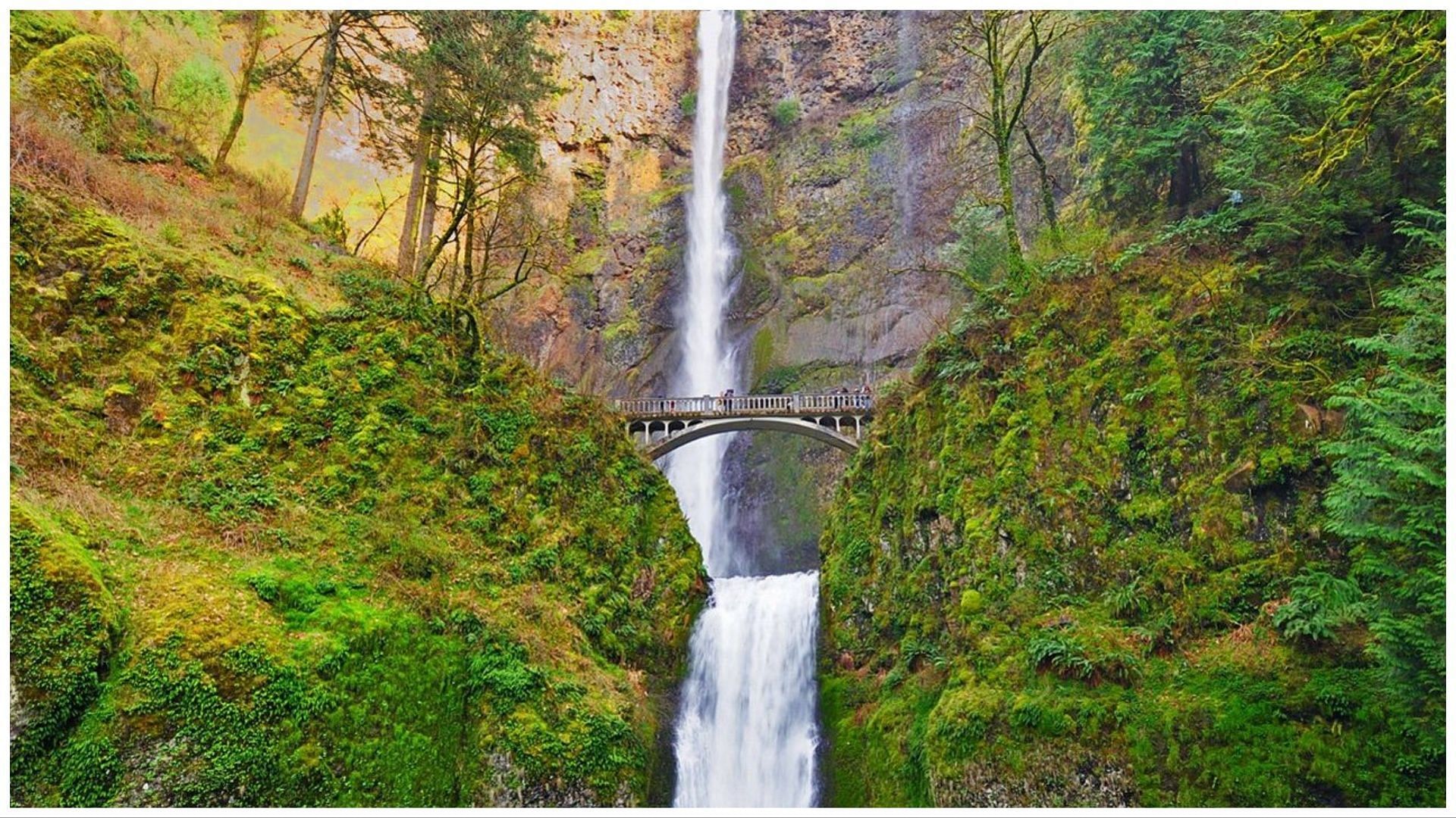 Multiple people have died at the site of the waterfall over several decades (image via Portland Trails/Twitter)