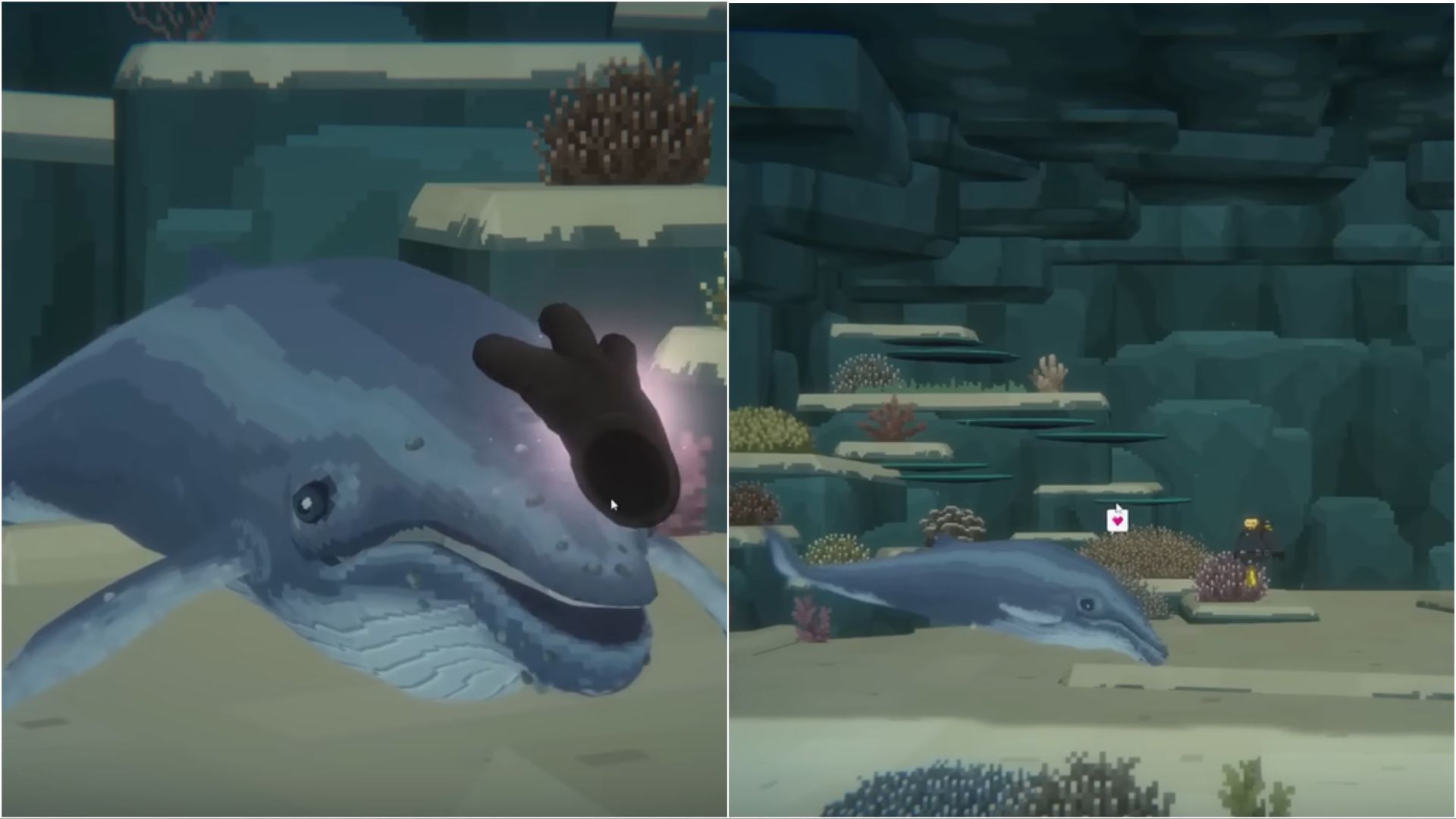 The whale appears to be feeling down (Image via MiniRocket)