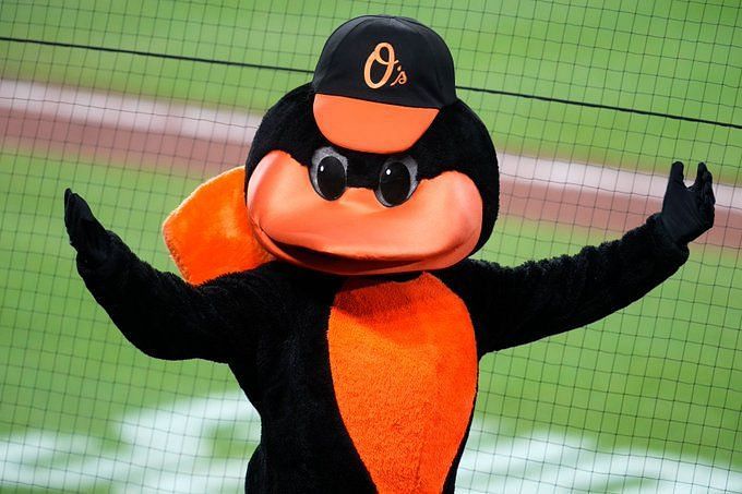 The Oriole Bird (Baltimore Orioles), SportsMascots Wikia