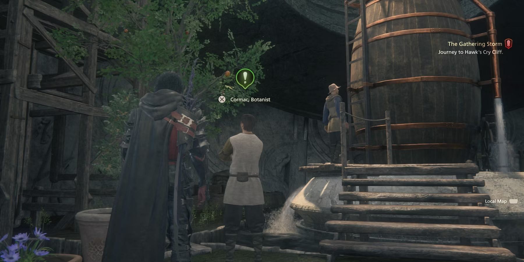 Interact with Cormac the Botanist to start the side quest (Image via Square Enix)