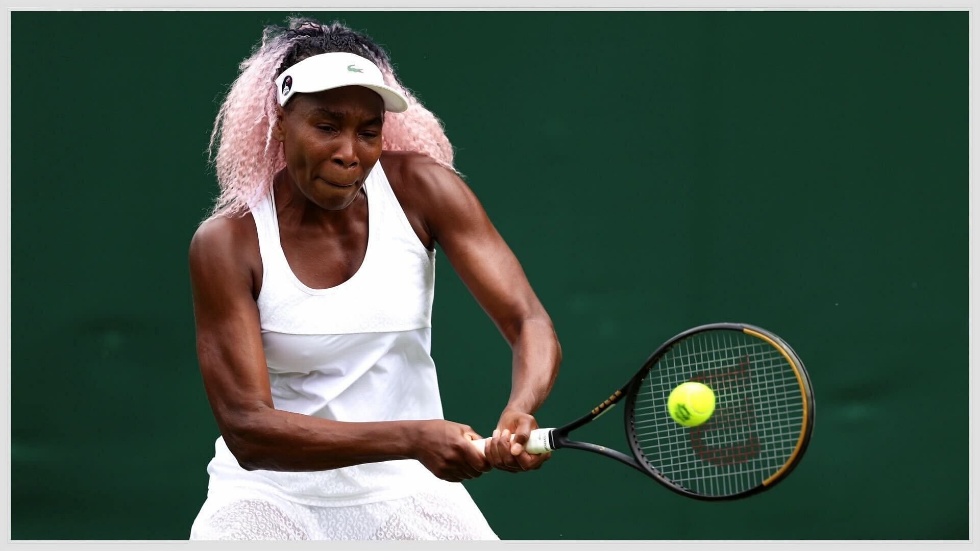 Venus Williams talks about &quot;unemployment