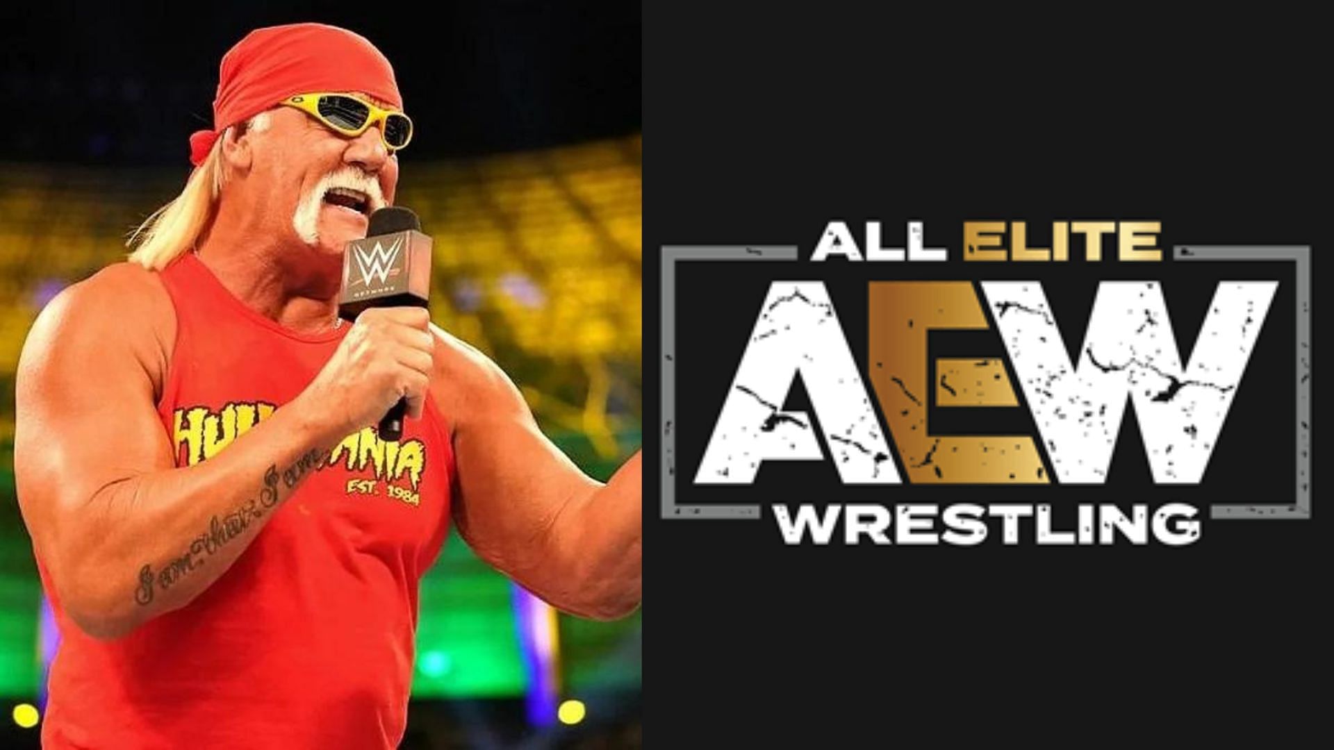 WWE Hall of Famer Hulk Hogan got engaged