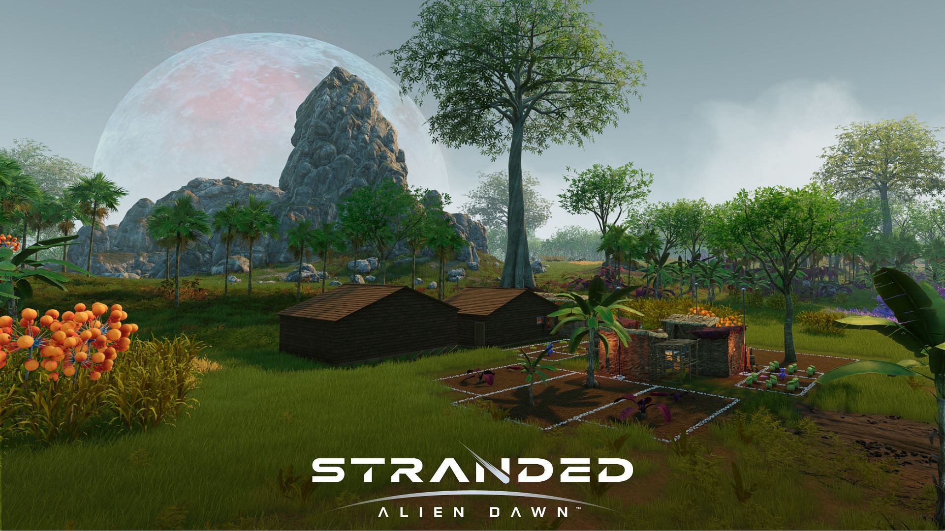 Stranded: Alien Dawn Jungle Update review - Exploring lush green worlds ...