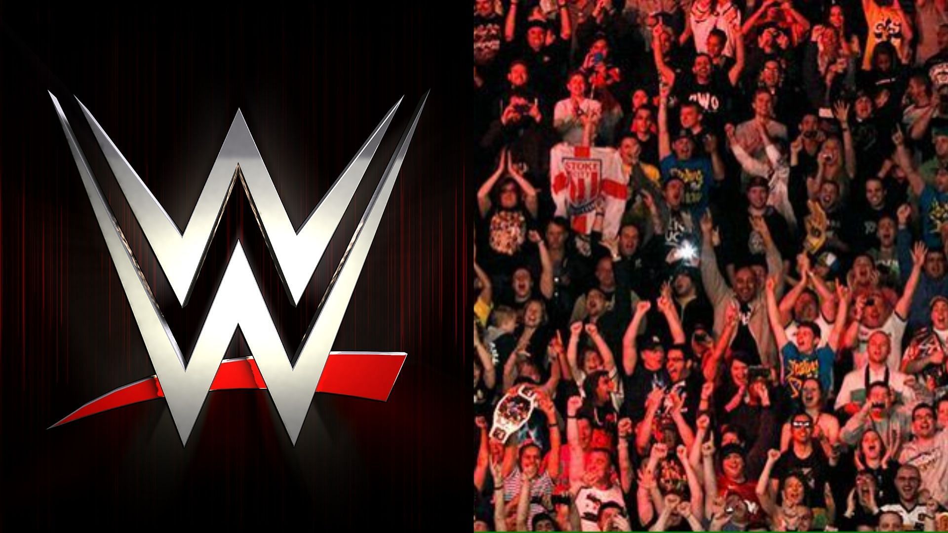 WWE has one of the biggest fan bases in the world.