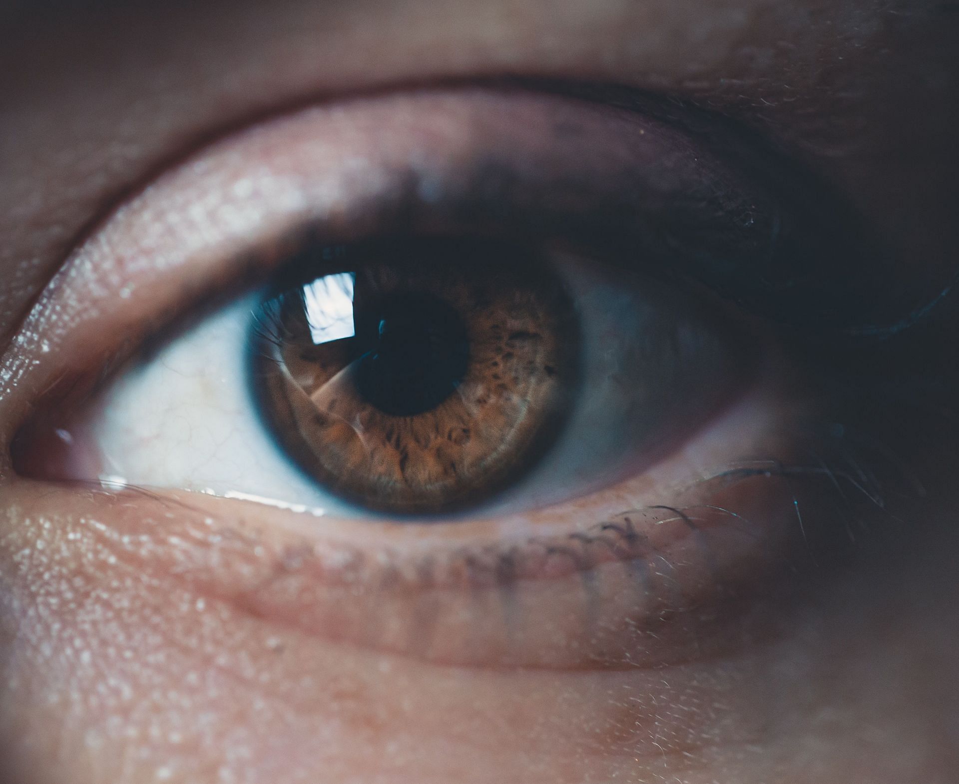 Macular Degeneration: Understanding the Symptoms (Image via Pexels)