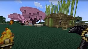 How to get and install realistic texture packs for Minecraft