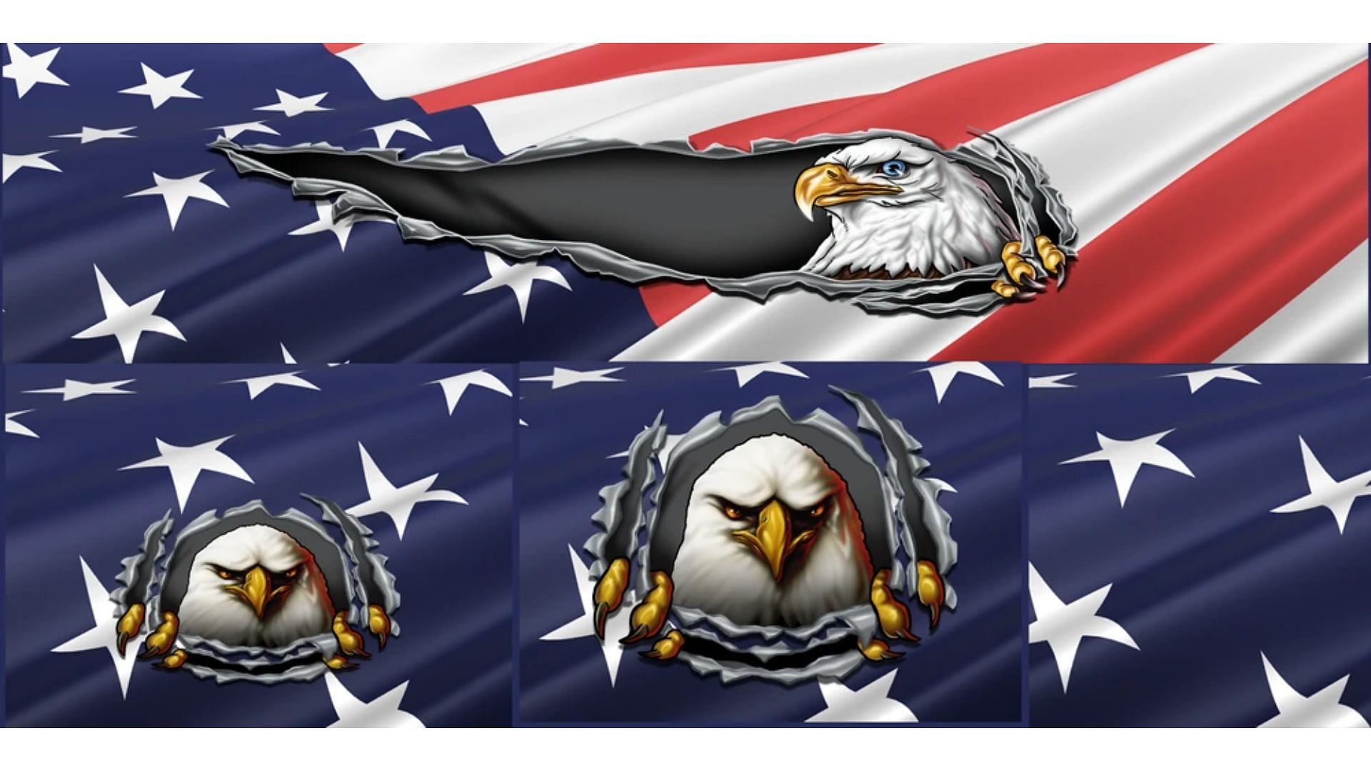 The Eagle Claw Flag livery design (Image via Rockstar Games)