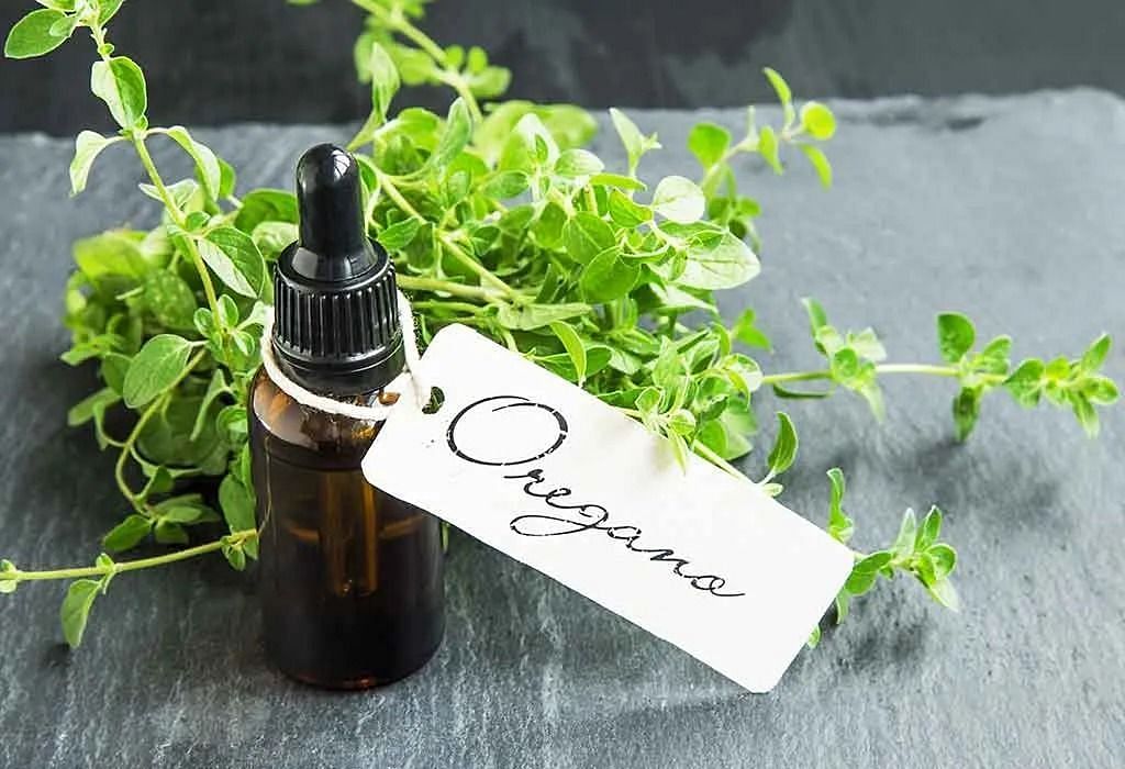 Your Medicine Cabinet's Secret Weapon: Five Benefits of Oregano