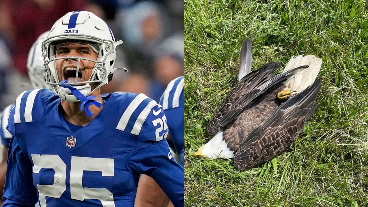 Rodney Thomas II has become notorious after his father killed a bald eagle - Images via Getty (left) and Facebook/OperationGameThiefPGC (right)