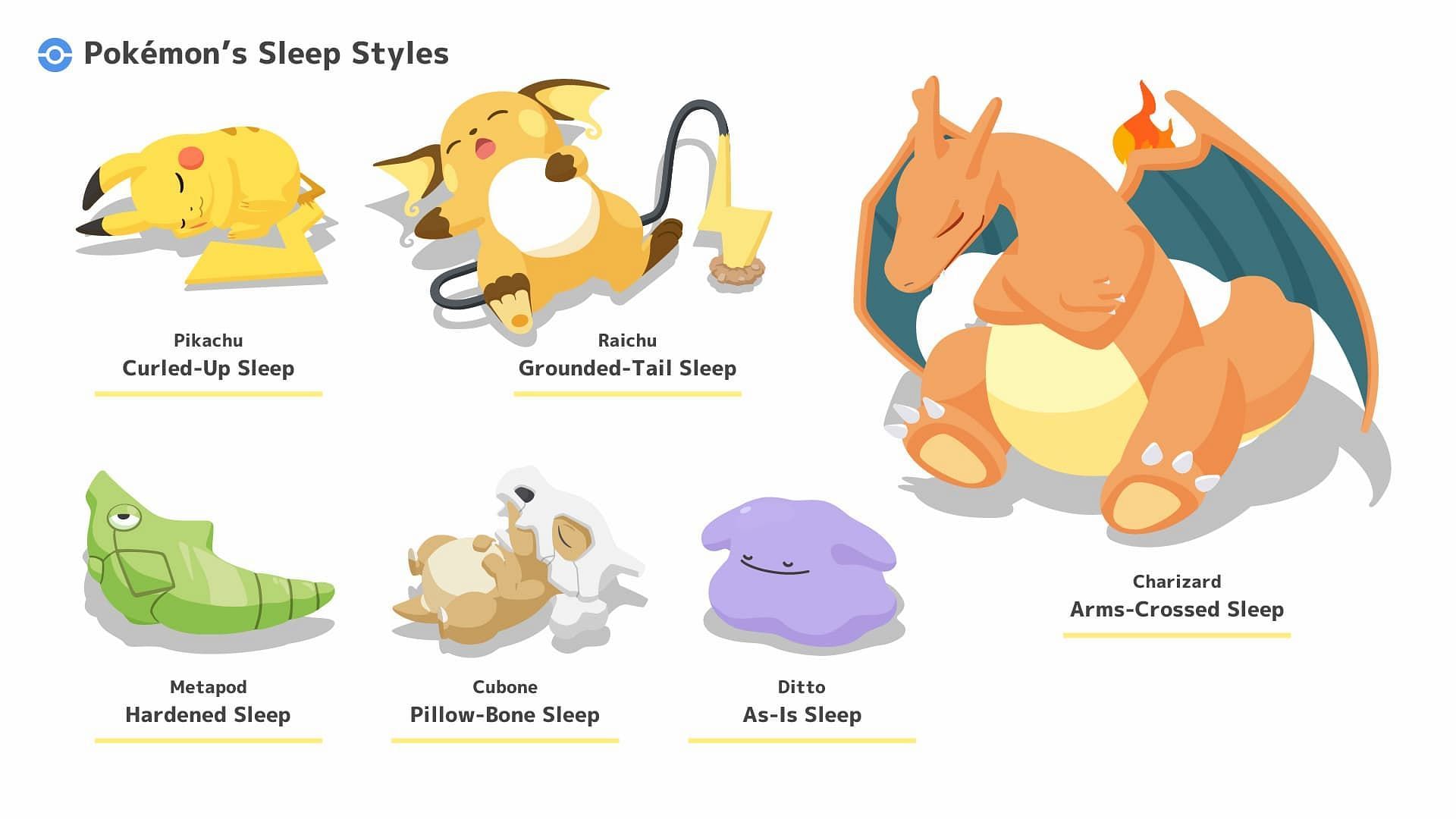 Pokémon Sleep Friendship Level Explained