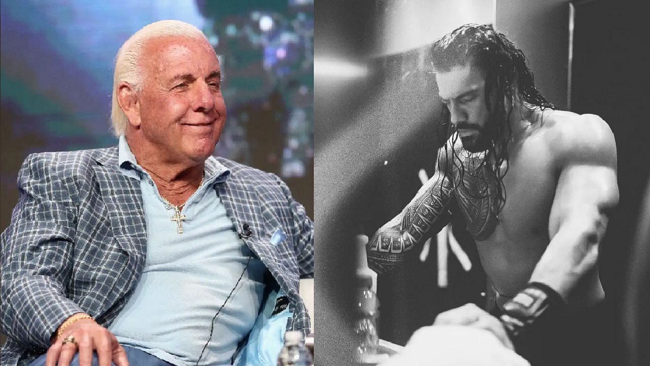Ric Flair (left); Roman Reigns (right)