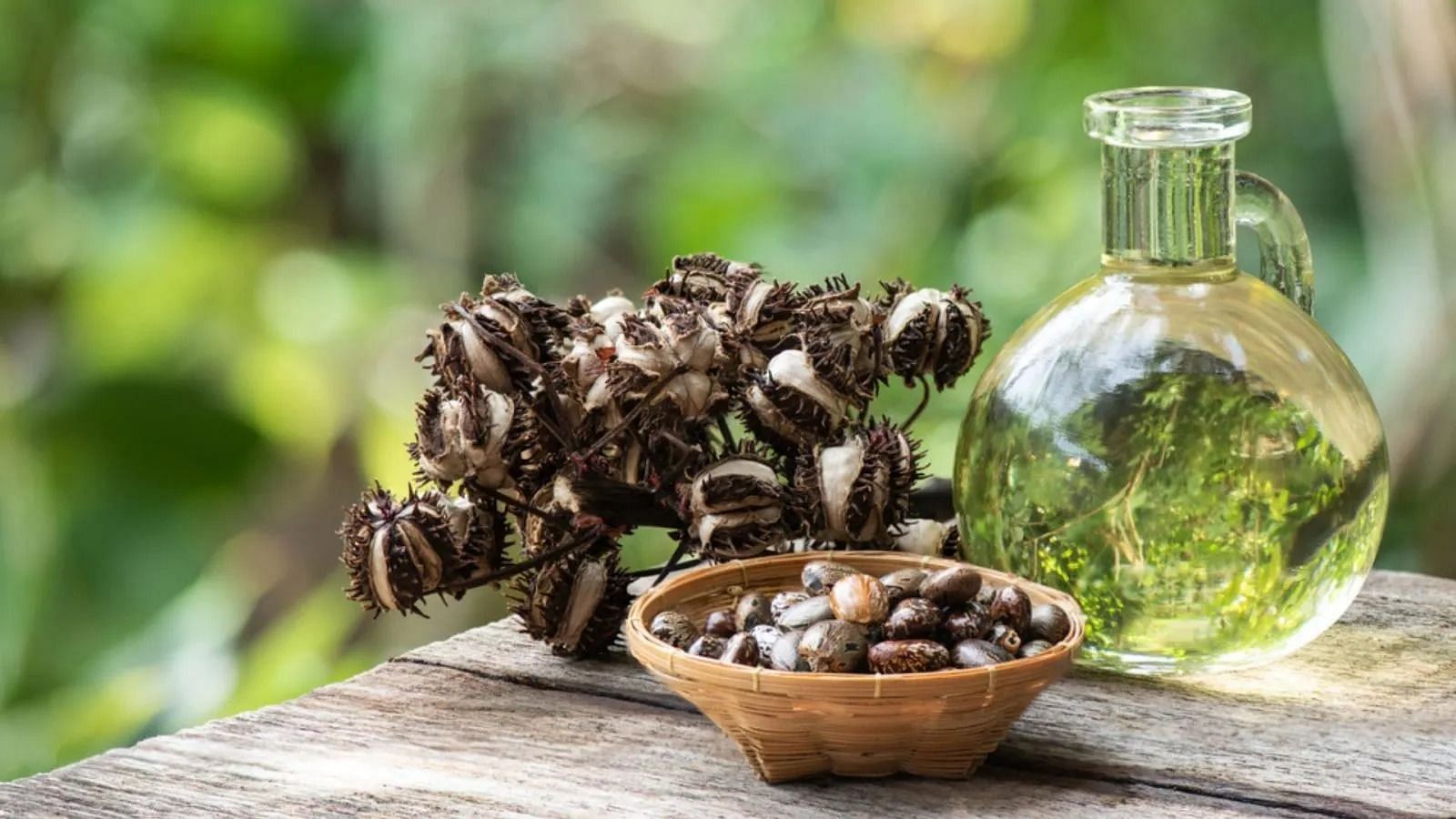 Castor oil (Image via Getty Images)