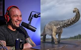 Joe Rogan unravels crazy facts on how 'if you're drinking water, you're drinking dinosaur p**s'