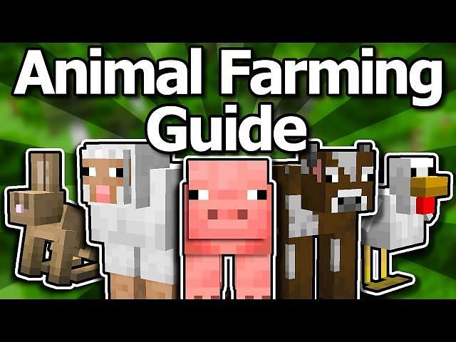 How to feed animals in Minecraft