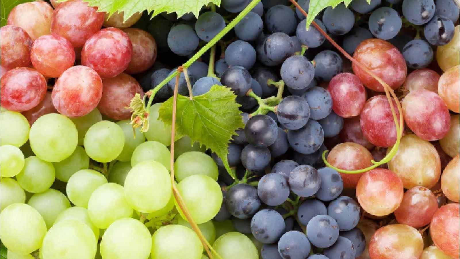 Can Grapes Be Beneficial for People with Diabetes?