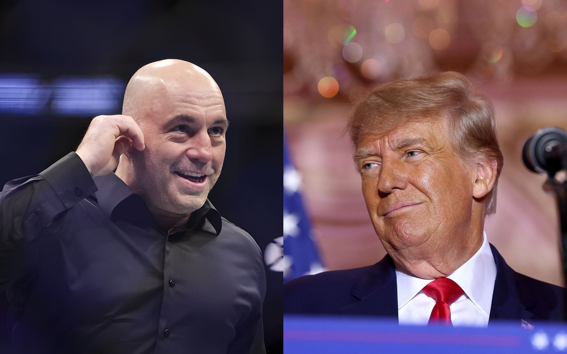 Donald Trump and Joe Rogan: 