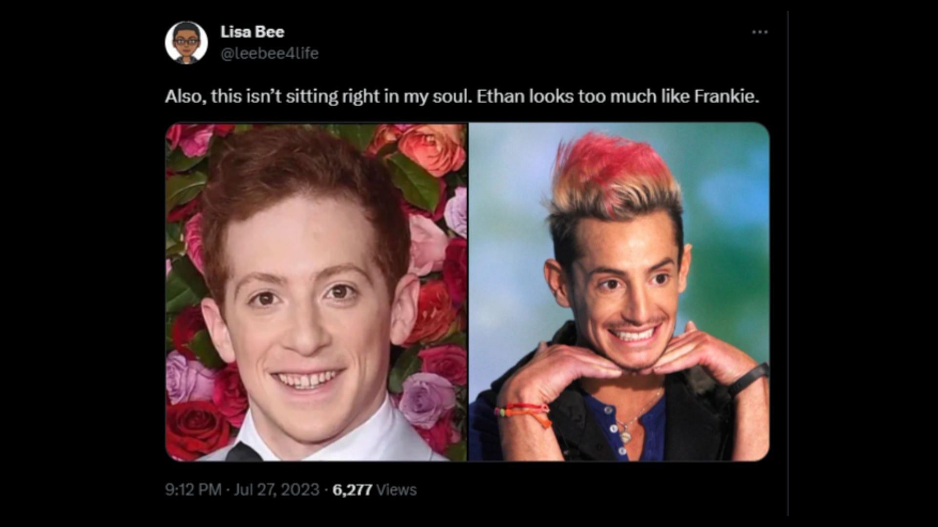 Screenshot of a Twitter user remarking on Slater and Frankie Grande&#039;s physical resemblance.