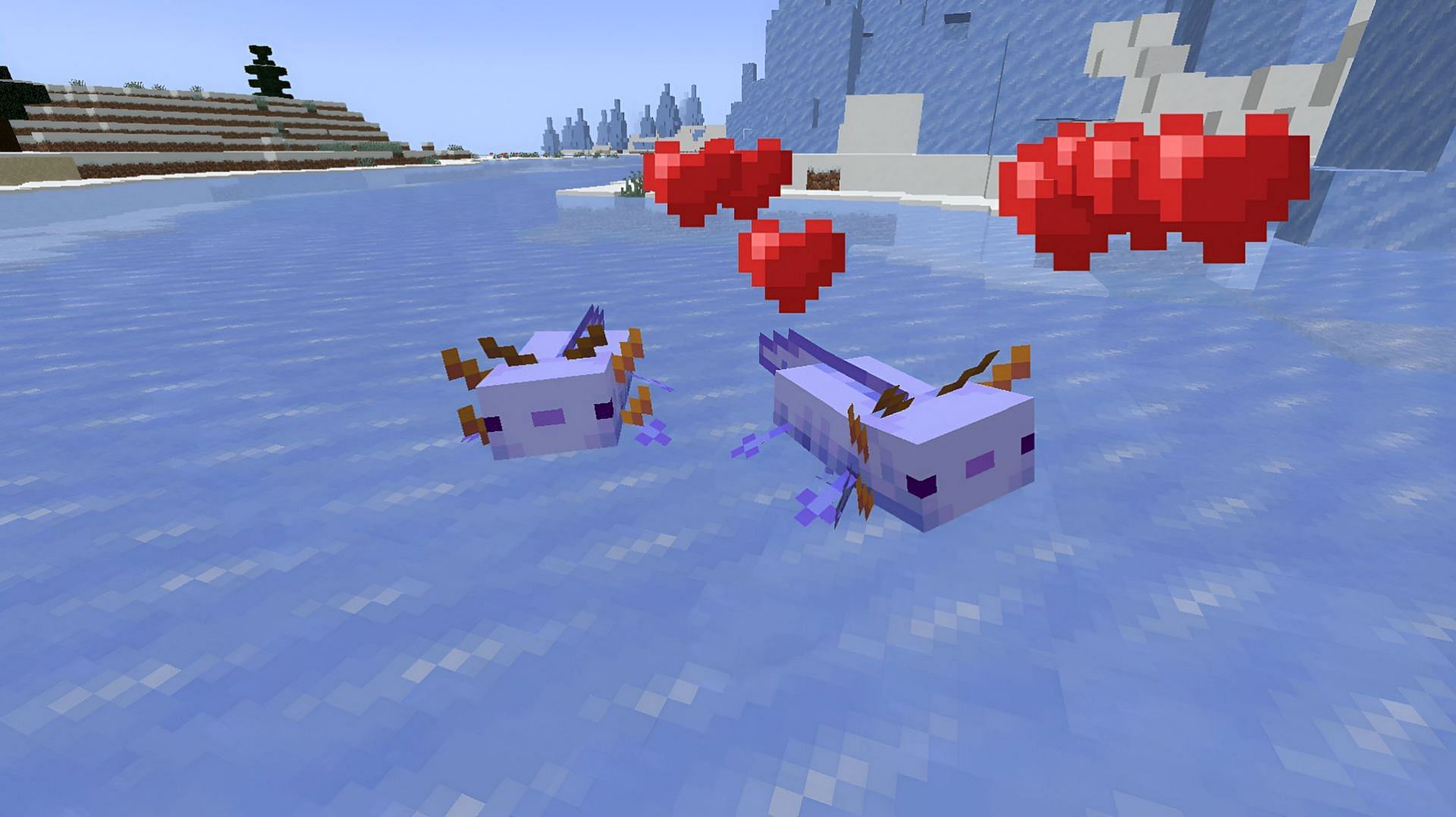 Blue axolotls are the rarest of their kind in Minecraft (Image via Mojang)