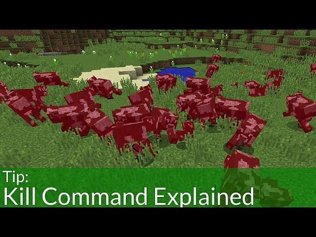 Top 10 Best Cheats And Commands To Use In Minecraft