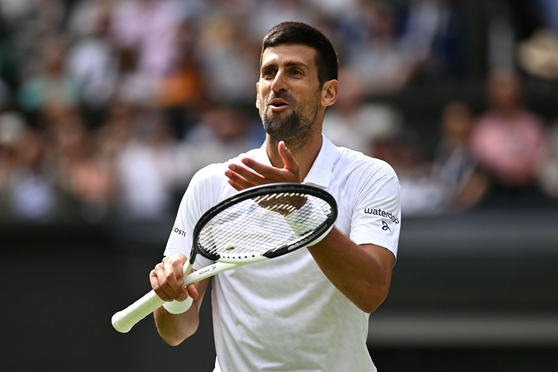 Djokovic is into his 14th Wimbledon quarterfinal.