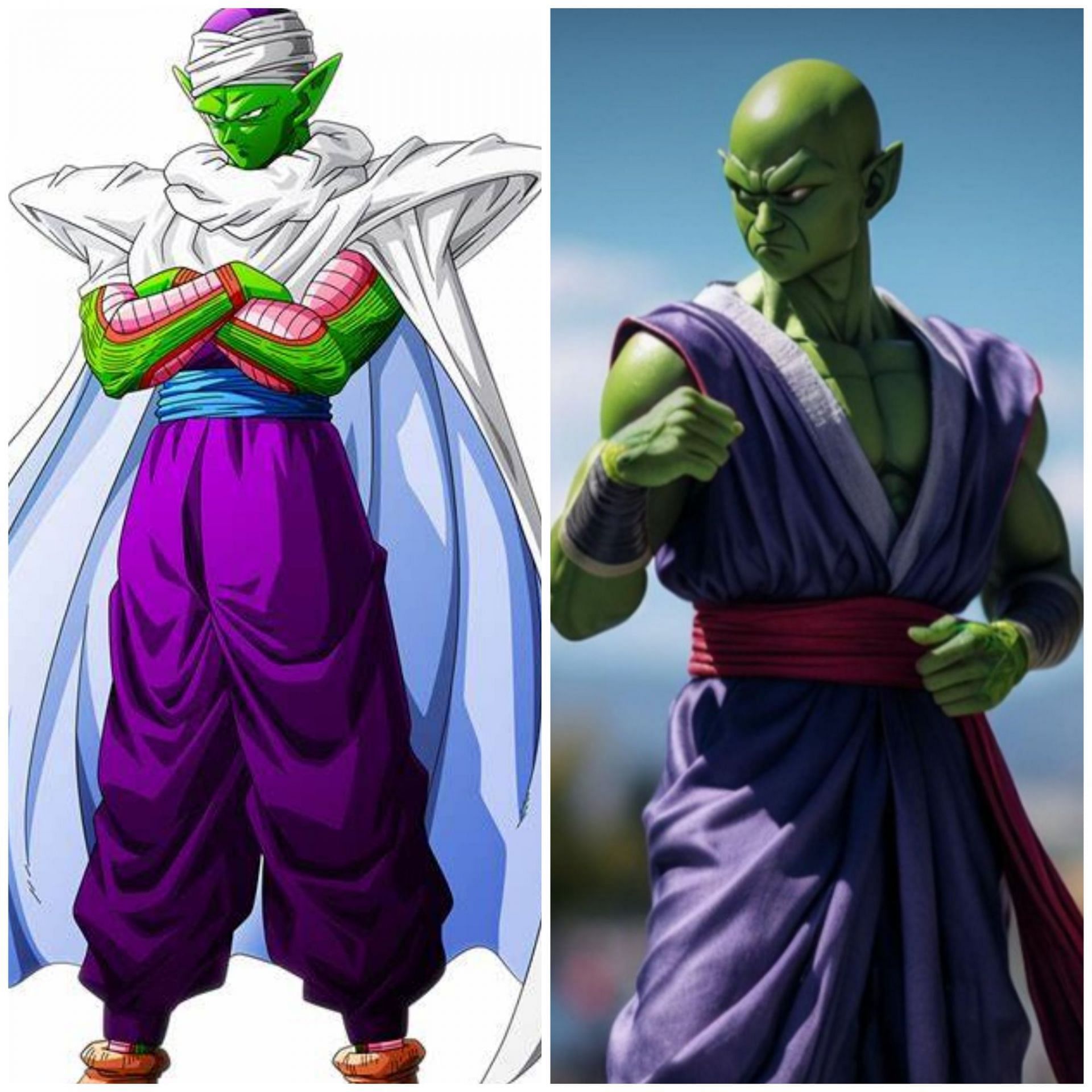 Piccolo Real Life