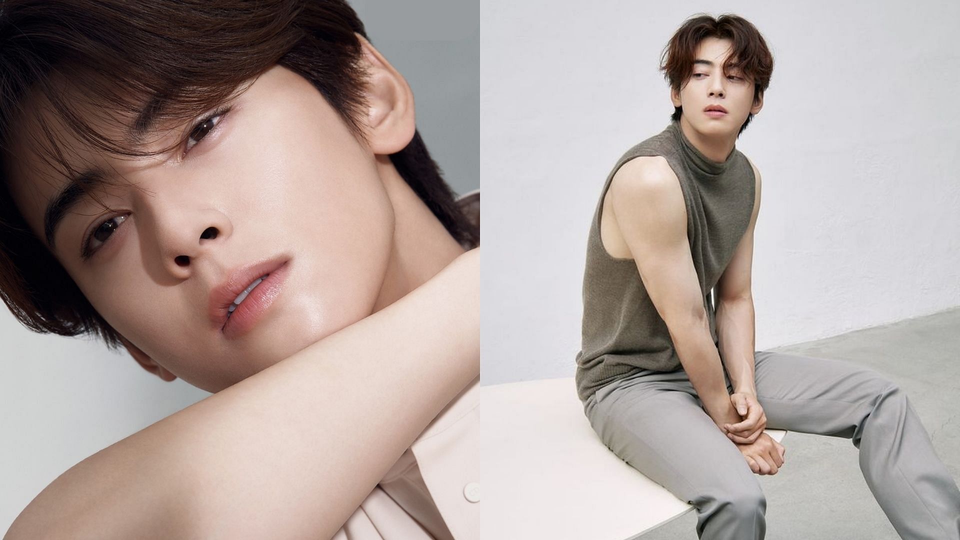 The only owner of true beauty” Fans swoon over ASTRO's Cha Eunwoo as he  melts hearts with enticing cover pictures for DIOR x ELLE Singapore