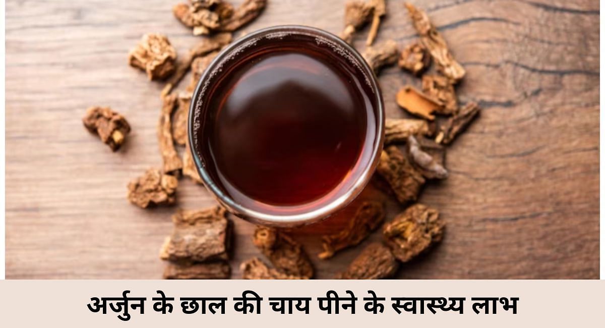 अर्जुन के छाल की चाय पीने के स्वास्थ्य लाभ(फोटो-Sportskeeda hindi)