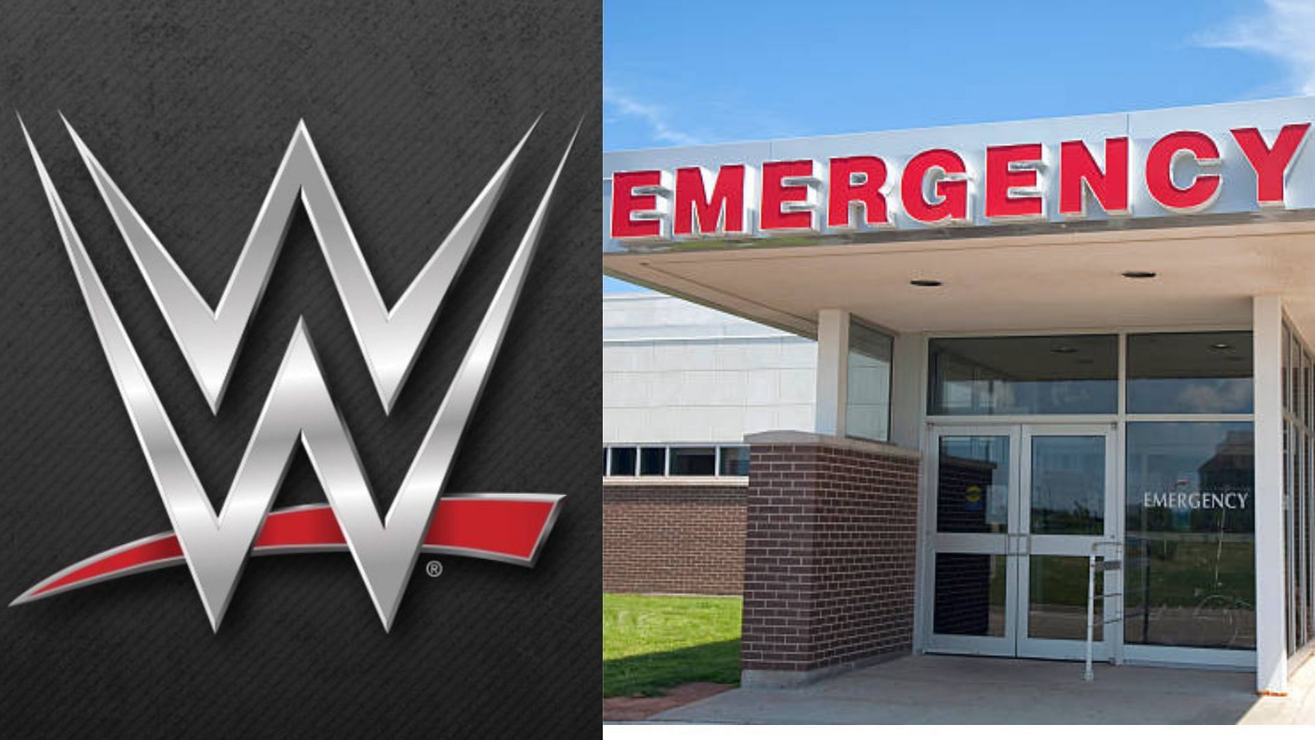 A WWE personality recently donated a kidney.
