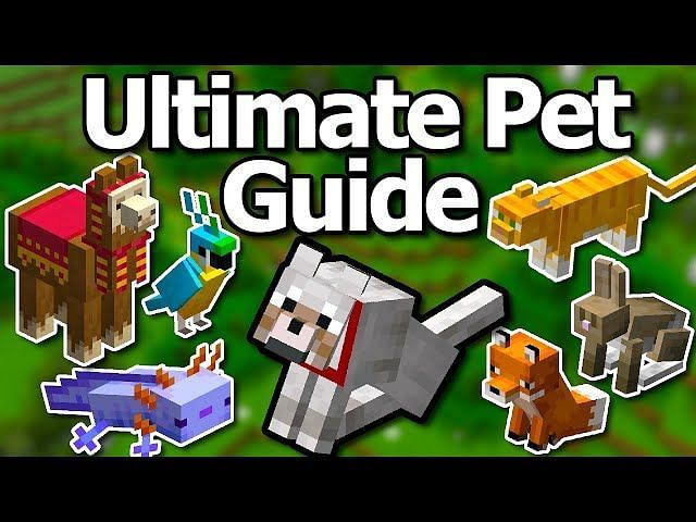 how-to-feed-animals-in-minecraft