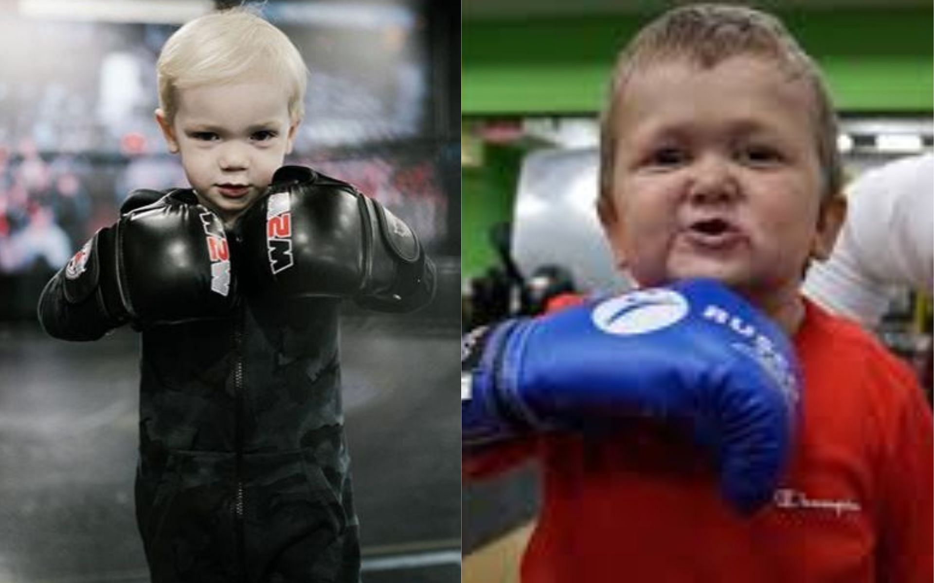 Conor McGregor Jr. (left) and Hasbulla (right) (Image credits @thenotoriousmma on Instagram and SPORTbible)