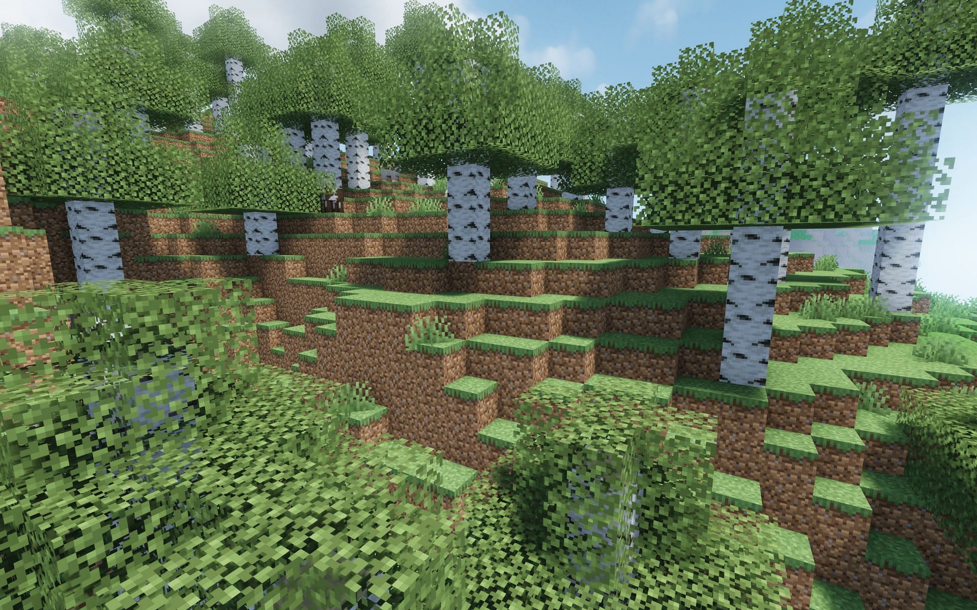 Birch trees (Image via Mojang)