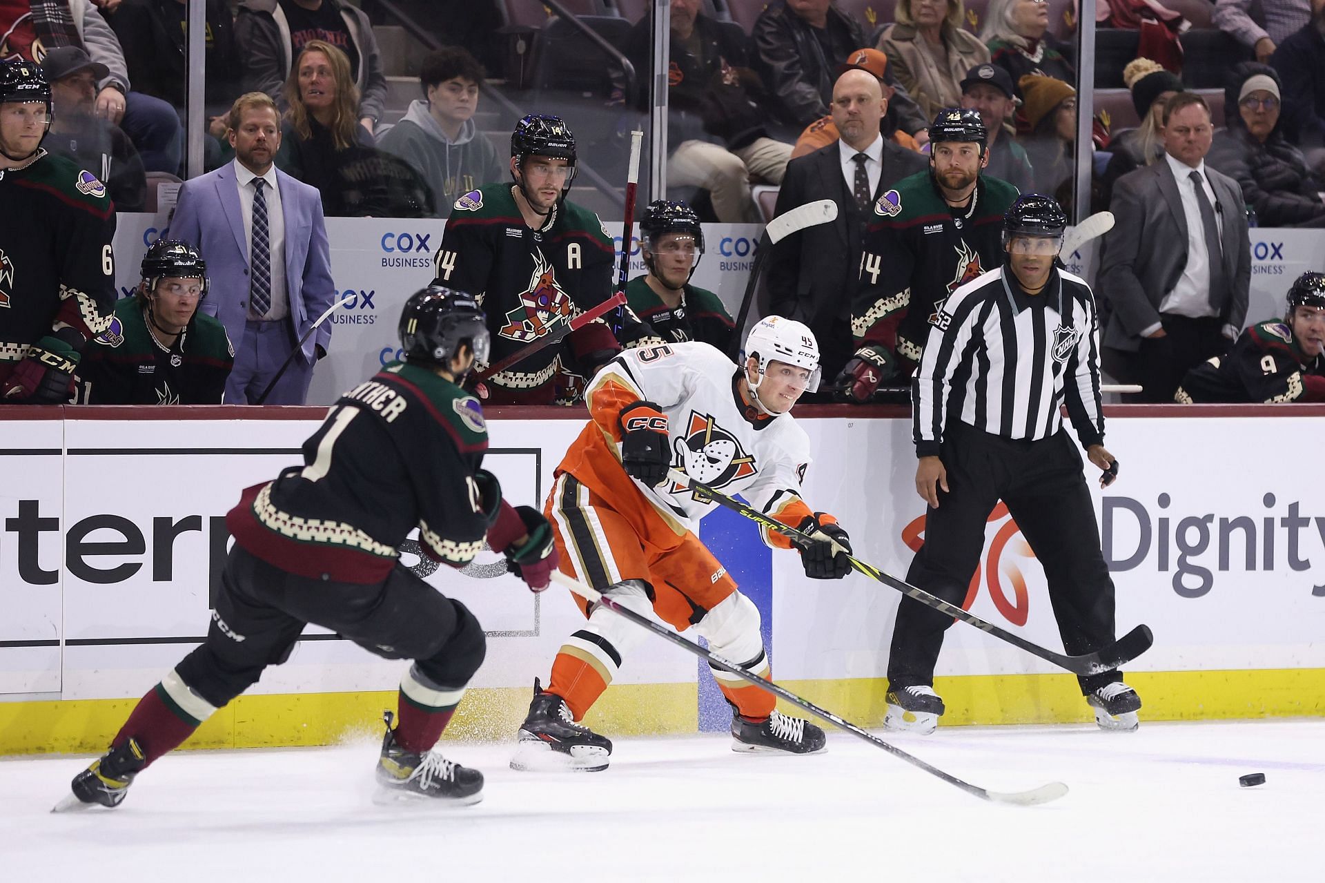 Anaheim Ducks to Play Arizona Coyotes in NHL Preseason Game at