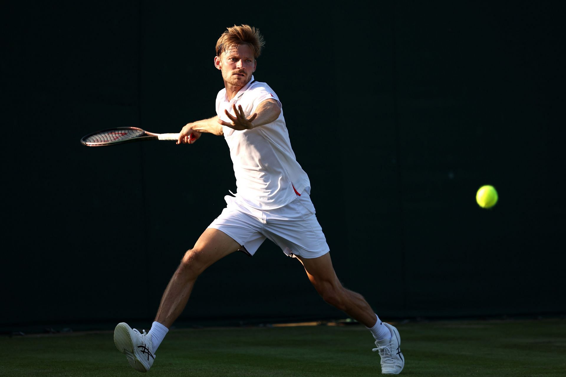 David Goffin at the 2023 Wimbledon.