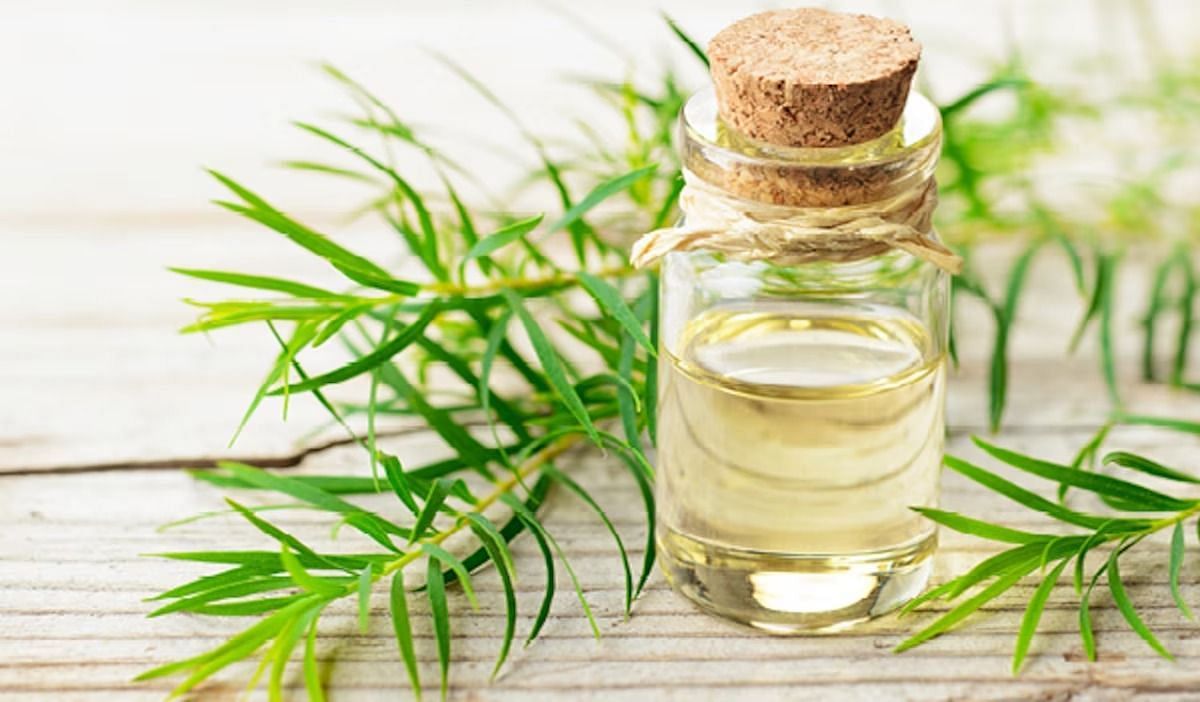 Tea-tree oil (Image via Getty Images)