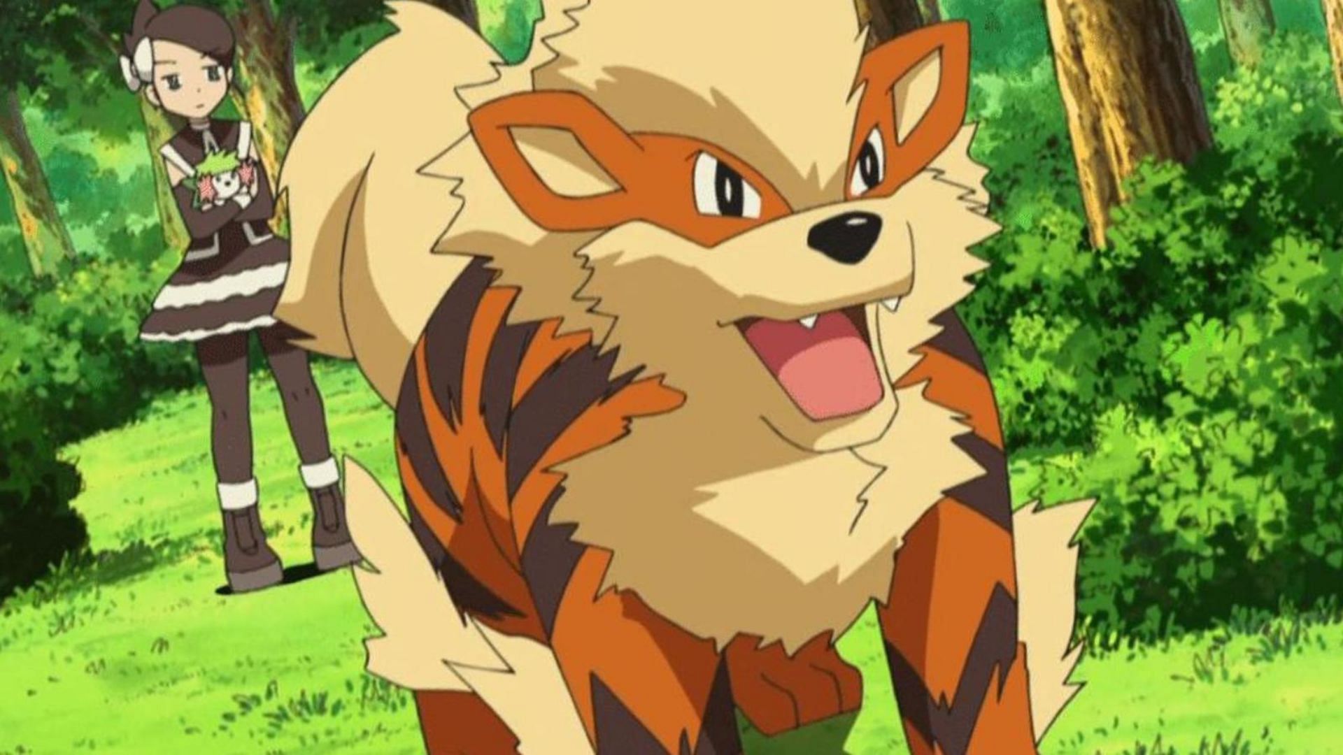 Arcanine as it appears in the anime (Image via The Pokemon Company)