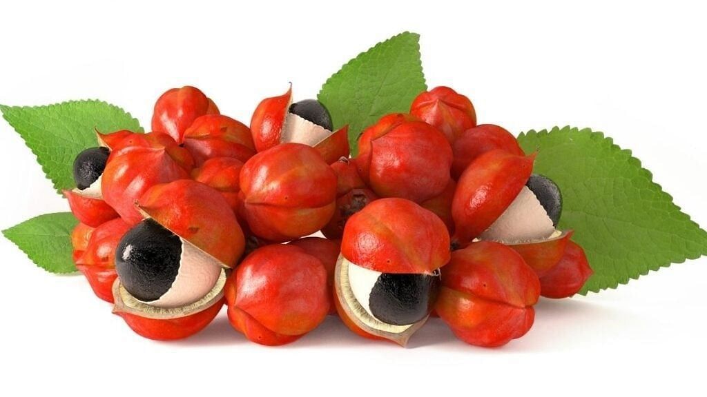 Guarana (Image via Getty Images)