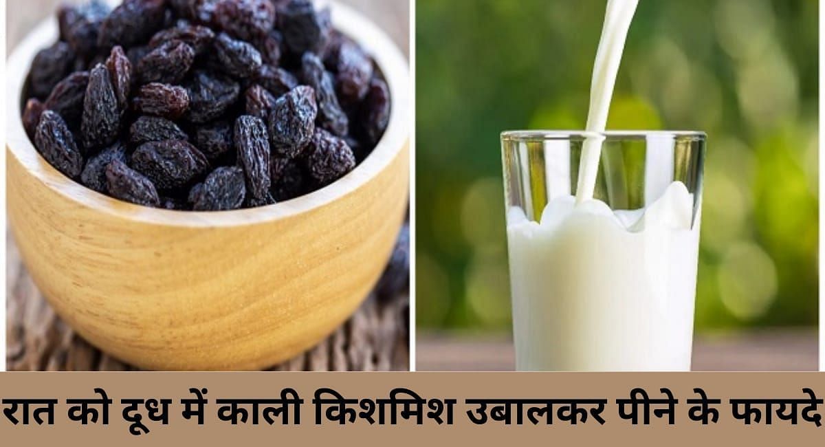 रात को दूध में काली किशमिश उबालकर पीने के फायदे(फोटो-Sportskeeda hindi)