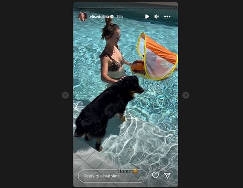 Elina Svitolina's Instagram Story