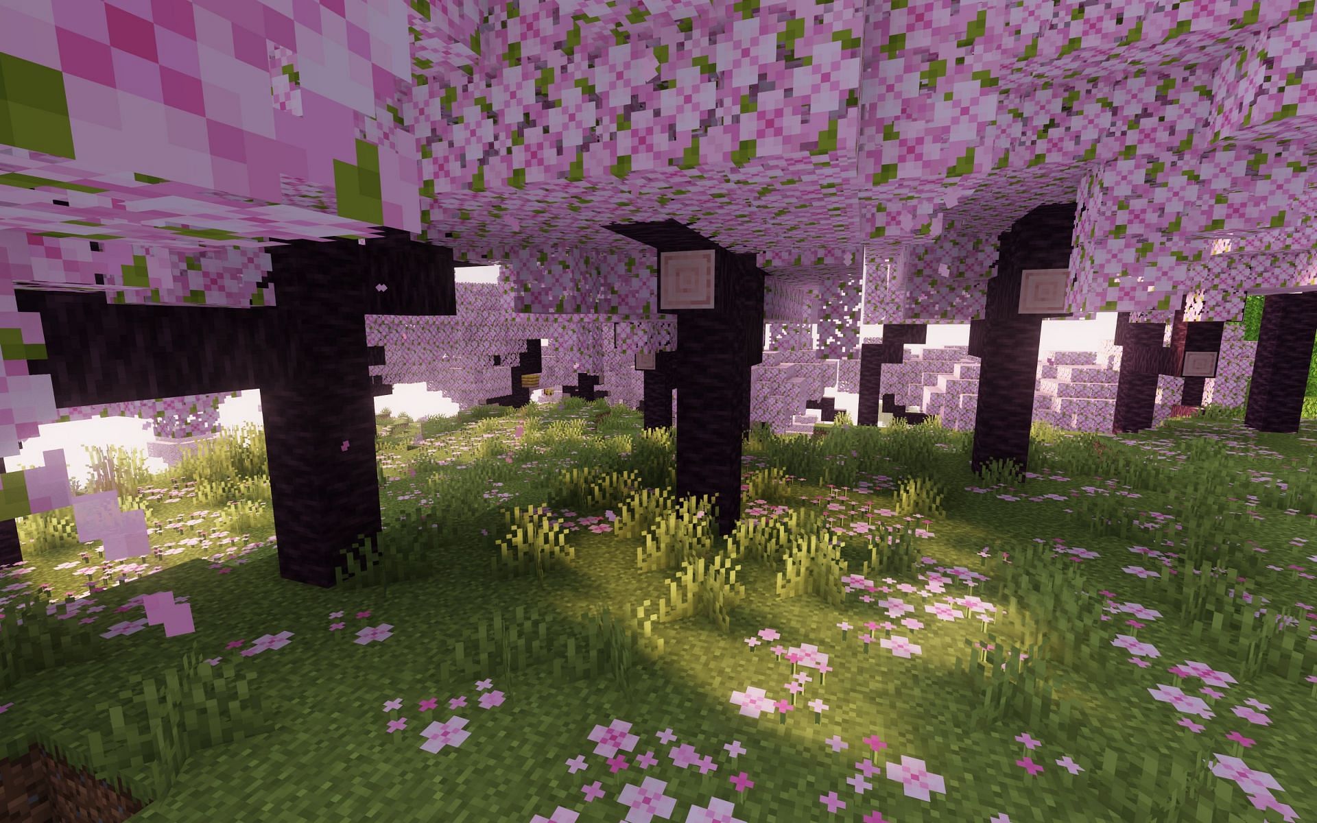 Cherry Trees (Image via Mojang)