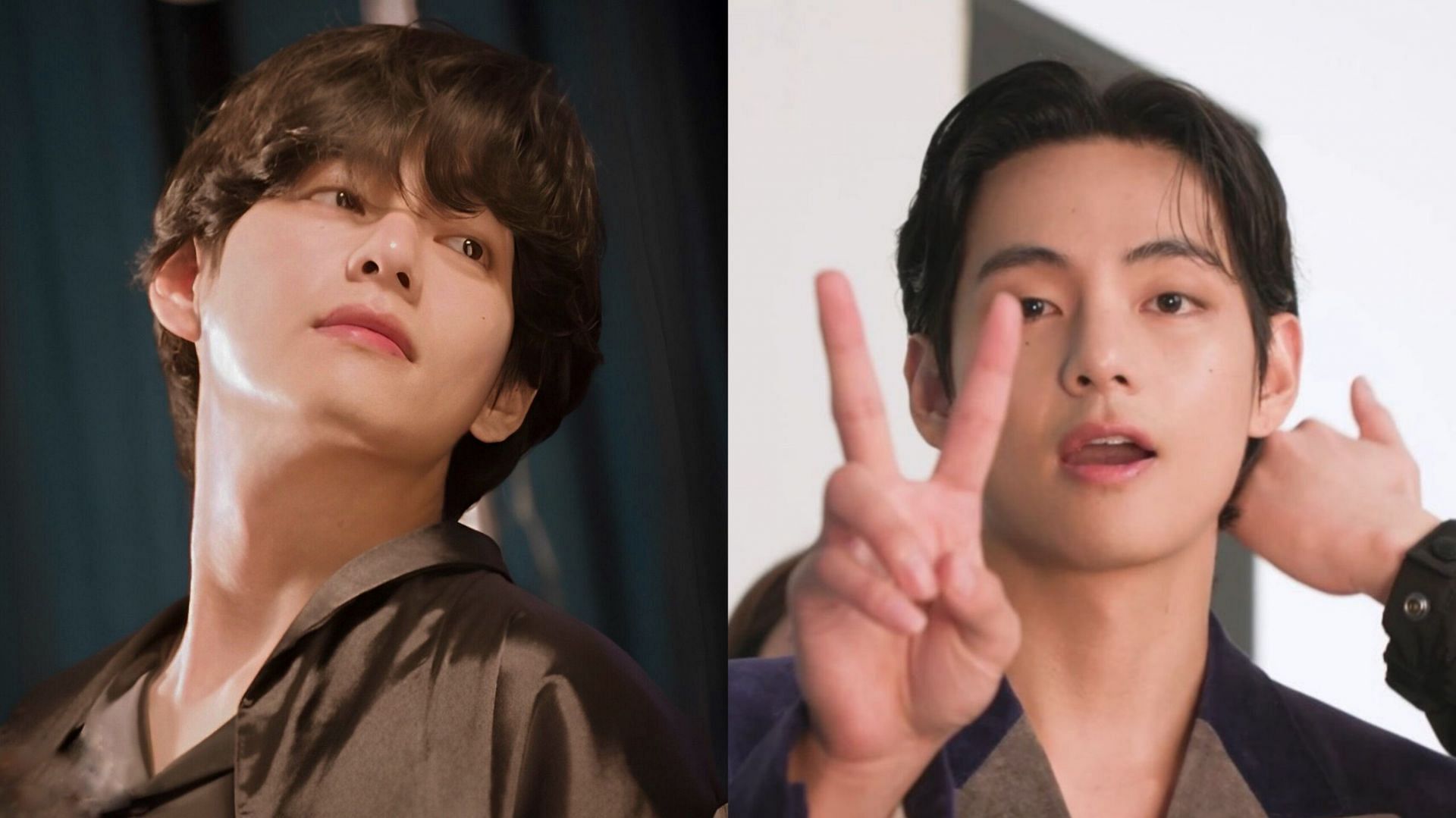 BTS' V And Park Bo Gum Pose For Celine After The Paris Event Gets Cancelled  Due To Riots