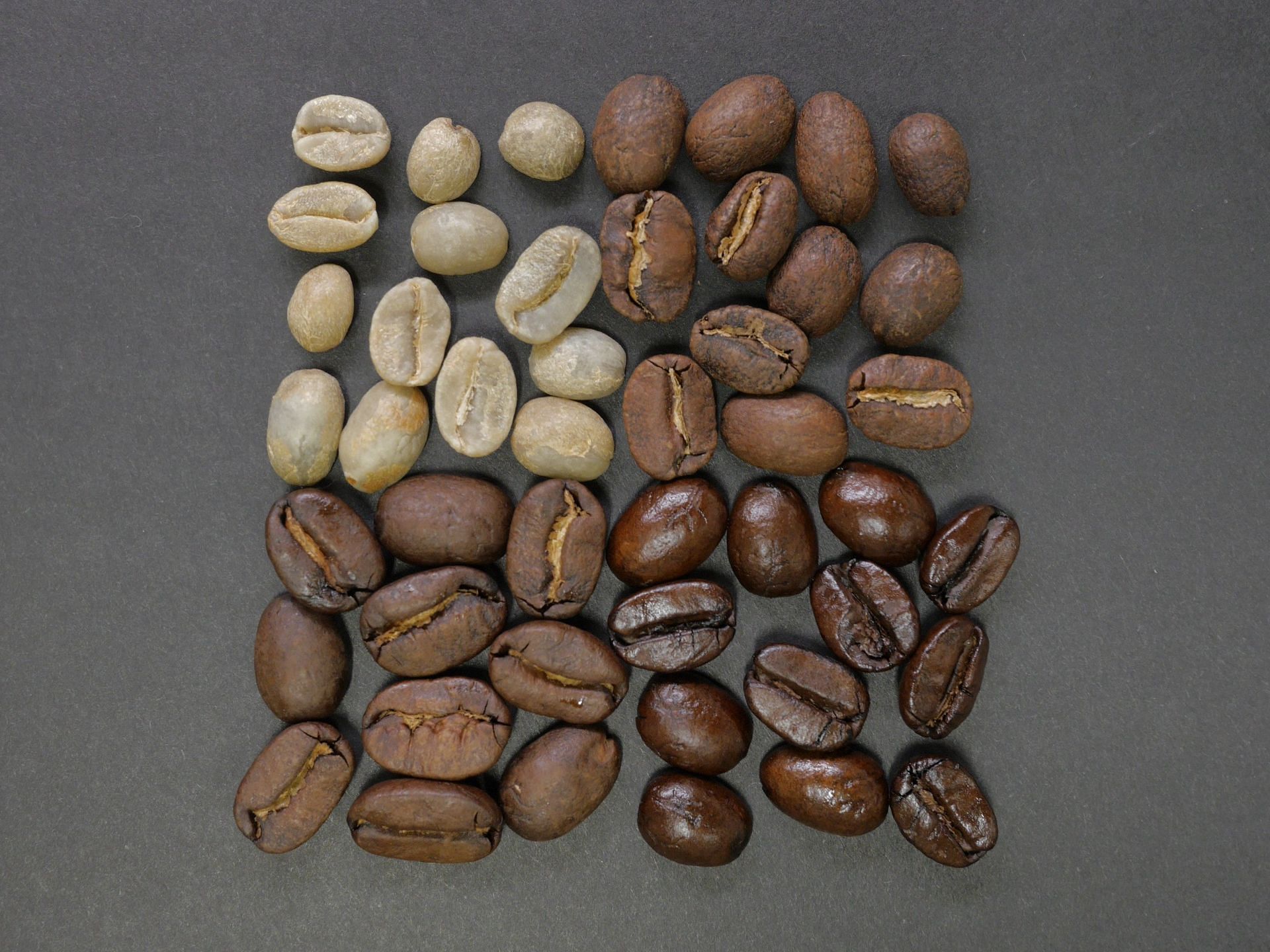 Different flavours of coffee (Image via Unsplash/Nousnou Iwasaki)