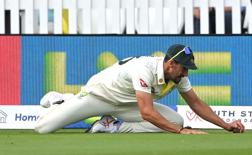 Explained: Why Mitchell Starc's catch of Ben Duckett was disallowed