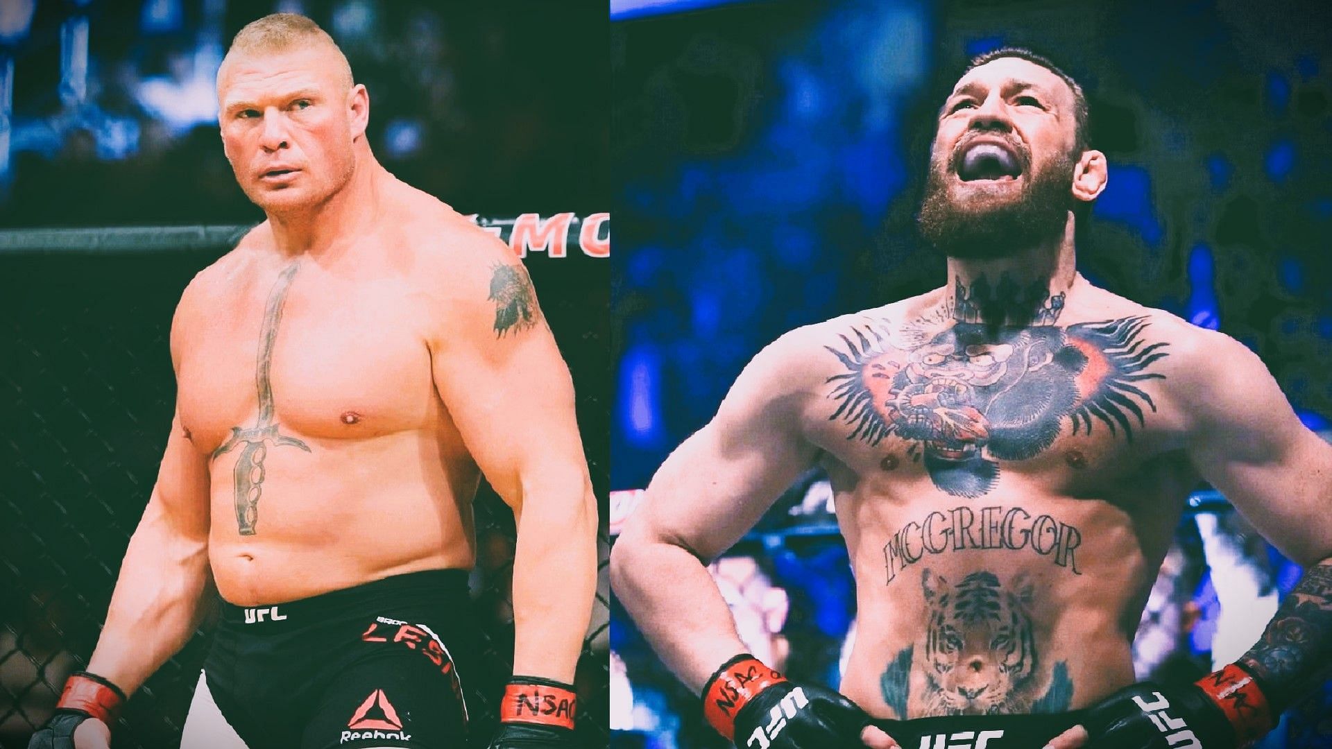 Brock Lesnar and Conor McGregor