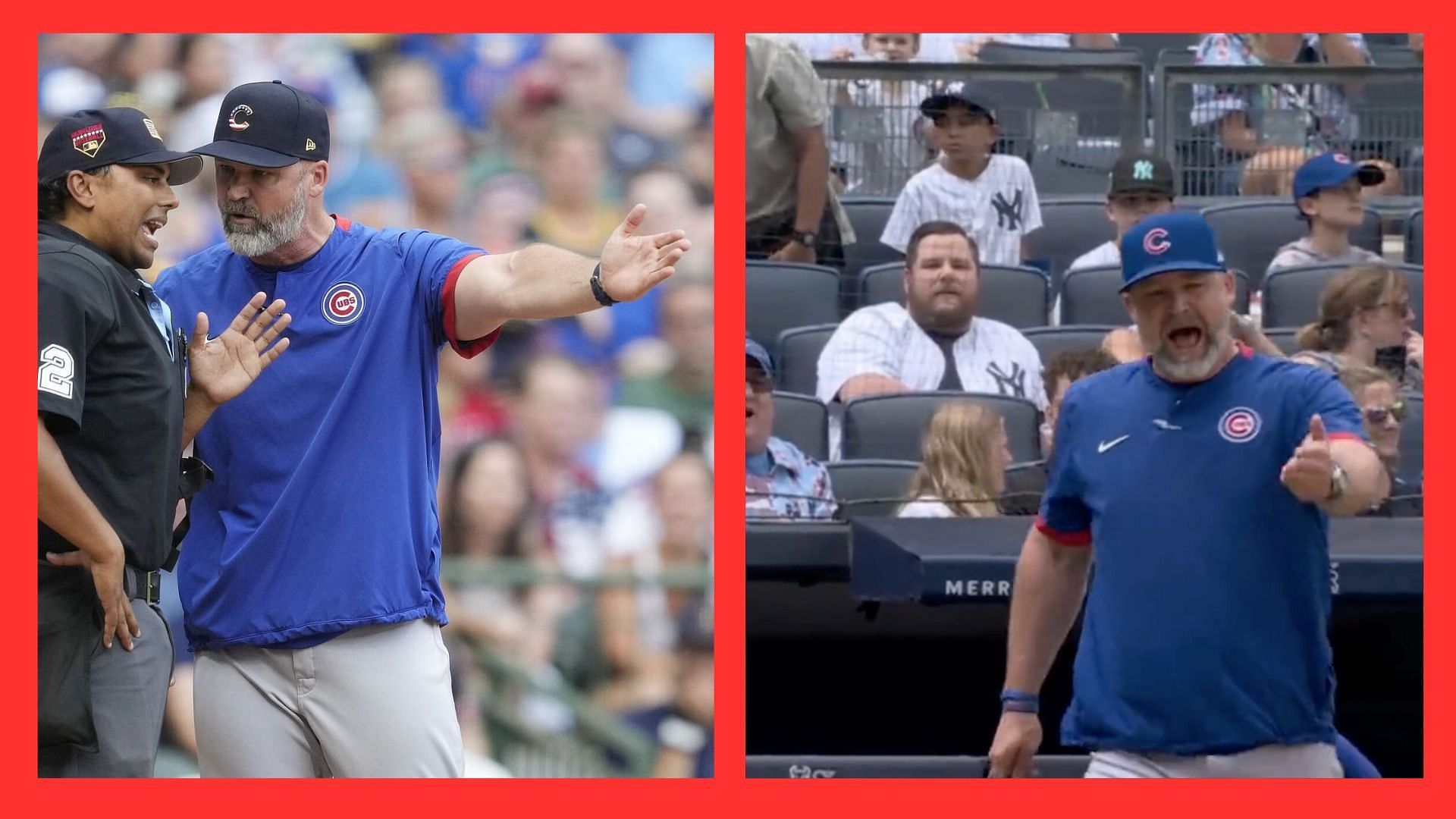 Chicago Cubs manager David Ross was ejected