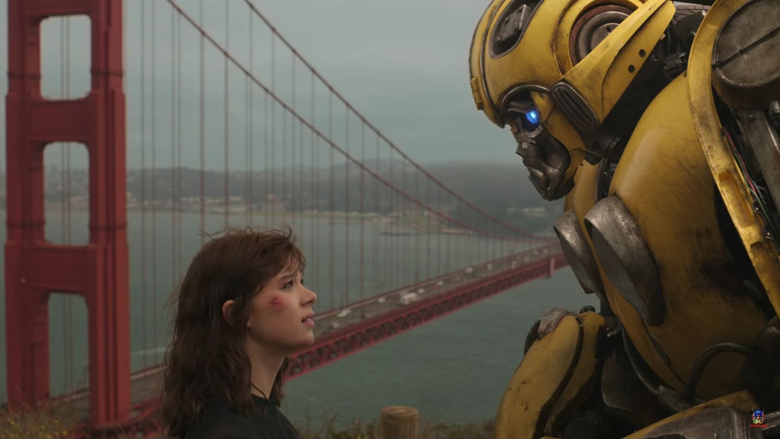 Will there be another Transformers movie?
