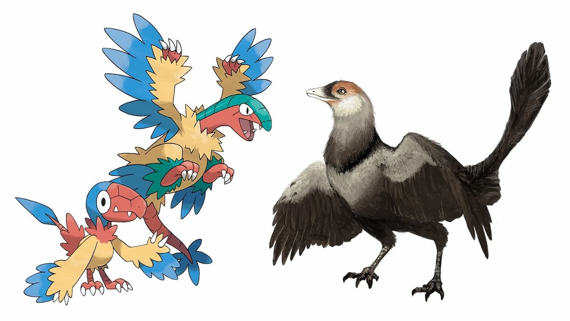 The Rock/Flying Archen and Archeops (Image via The Pokemon Company)