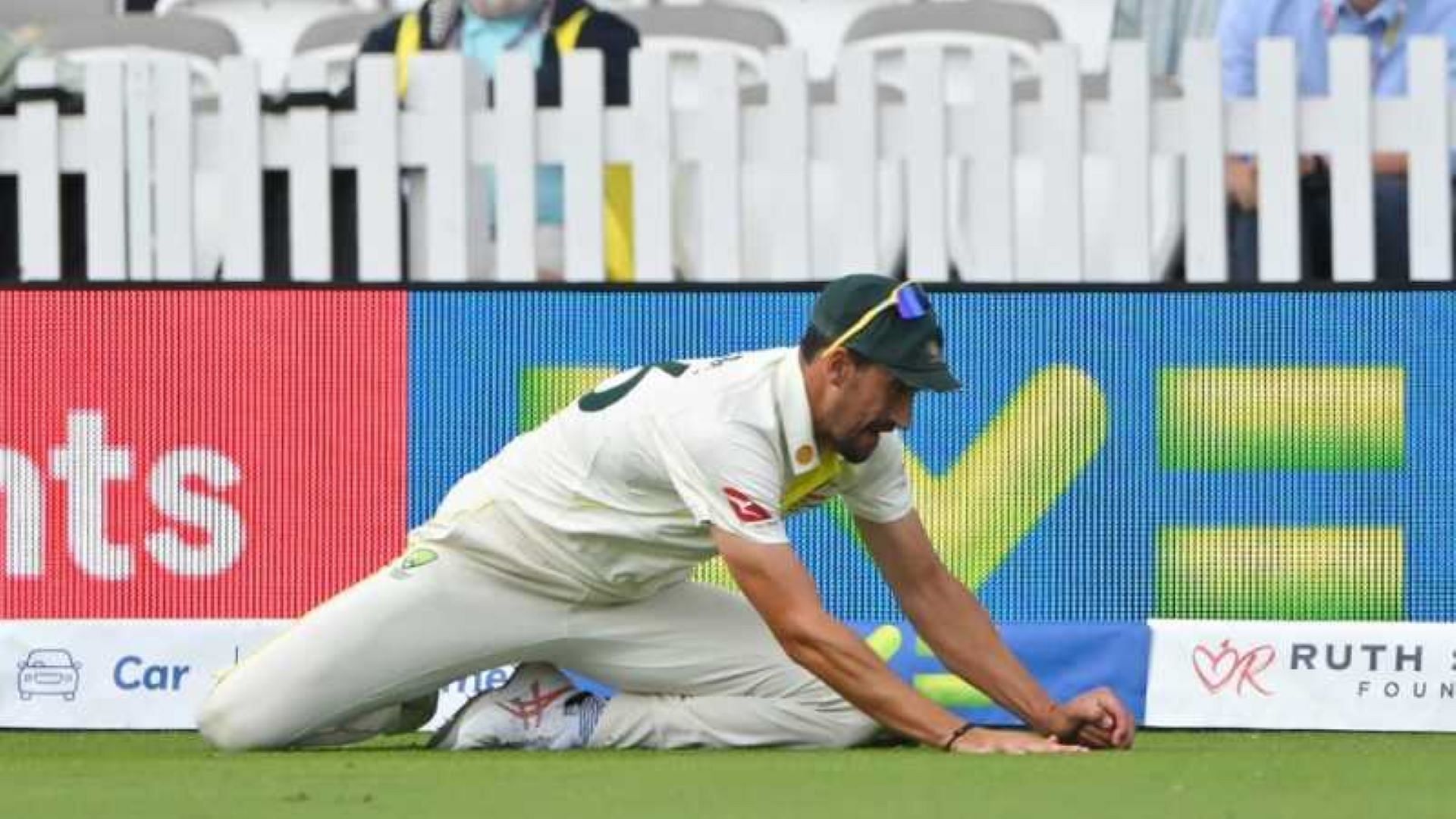 Mitchell Starc taking the catch of Ben Duckett that was later overturned